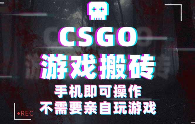 CSGO游戏挂机捡漏，单日扫货500+，年底小高峰上车可吃肉，手机即可操作...-鑫梵淘
