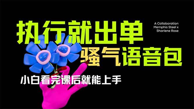 （14170期）爆火全网的开车导航骚气语音包,只要执行就出单，小白看完课程就能实操…-鑫梵淘