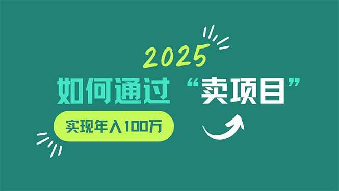 （14176期）2025年如何通过“卖项目”实现年入100万-鑫梵淘