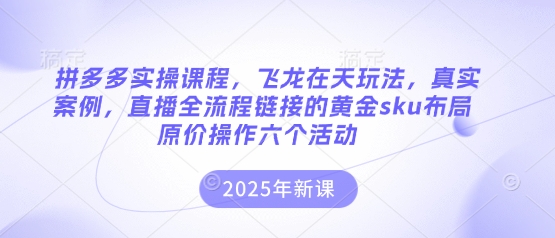 拼多多实操课程，飞龙在天玩法，真实案例，直播全流程链接的黄金sku布局原价操作六个活动-鑫梵淘