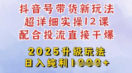 2025全新升级抖音带货玩法，一天纯利四位数，从剪辑到选品再到发布投流，超详细玩法揭秘-鑫梵淘