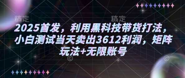 2025首发，利用黑科技带货打法，小白测试当天卖出3612利润，矩阵玩法+无限账号【揭秘】-鑫梵淘