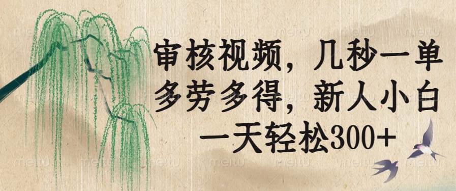 （14203期）审核视频，几秒一单，多劳多得，新人小白一天轻松300+-鑫梵淘