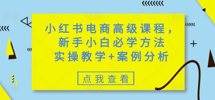 小红书电商高级课程，新手小白必学方法，实操教学+案例分析-鑫梵淘