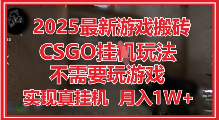 2025最新游戏搬砖，CSGO挂G，不需要玩游戏，实现真挂G，月入1W+【揭秘】-鑫梵淘