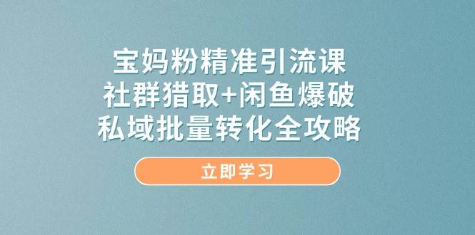 宝妈粉精准引流课，社群猎取+闲鱼爆破，私域批量转化全攻略-鑫梵淘