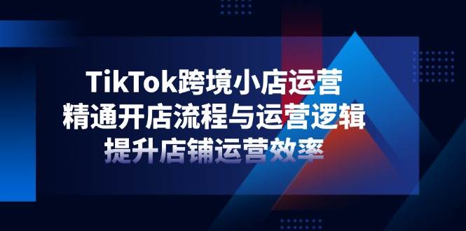 （14369期）TikTok跨境小店运营，精通开店流程与运营逻辑，提升店铺运营效率-鑫梵淘