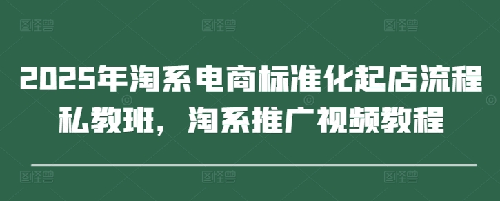 2025年淘系电商标准化起店流程私教班，淘系推广视频教程-鑫梵淘