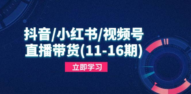 （14611期）抖音/小红书/视频号/直播带货(11-16期)，快速掌握平台规则，打造爆款内容-鑫梵淘