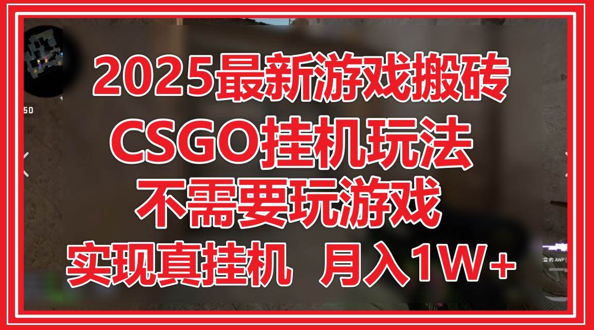 （14743期）2025最新游戏搬砖，CSGO挂机，不需要玩游戏，实现真挂机，月入1W+-鑫梵淘