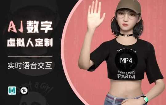 Ai数字人虚拟(智能体)实时语音交互特训营，自行定制超写实角色AI数字人交互技术-鑫梵淘