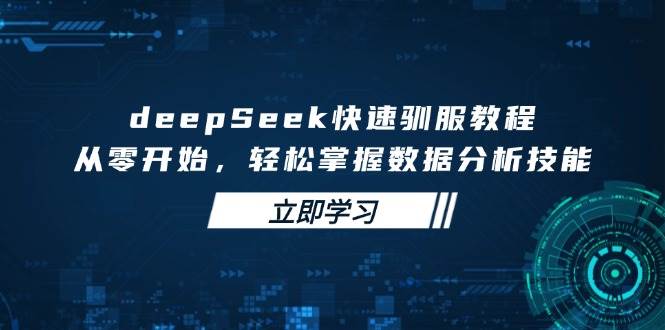 （14536期）deepSeek快速驯服教程，从零开始，轻松掌握数据分析技能-鑫梵淘
