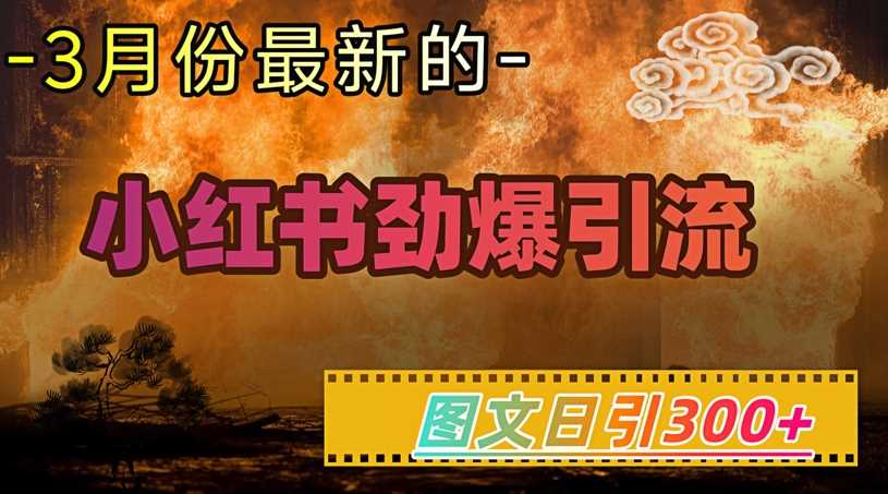 小红书超劲爆引流手段，图文日引300+轻松变现1W-鑫梵淘