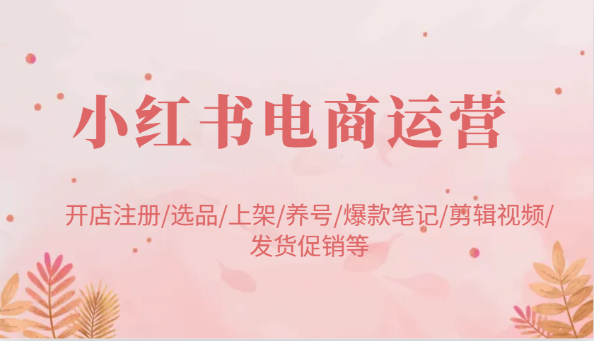 小红书电商运营：开店注册/选品/上架/养号/爆款笔记/剪辑视频/发货促销等-鑫梵淘