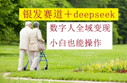 银发赛道+deepseek数字人全域变现，小白也能操作-鑫梵淘