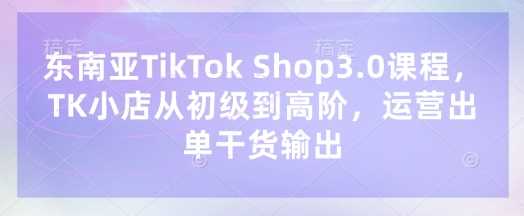 东南亚TikTok Shop3.0课程，TK小店从初级到高阶，运营出单干货输出-鑫梵淘