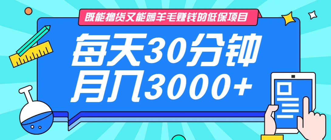 既能撸货又能赚钱的长期低保项目，每天30分钟，多号百分百稳定月入3000+！-鑫梵淘