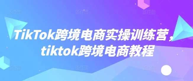 TikTok跨境电商实操训练营，tiktok跨境电商教程-鑫梵淘