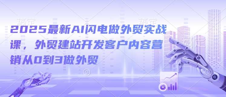 2025最新AI闪电做外贸实战课，外贸建站开发客户内容营销从0到3做外贸-鑫梵淘