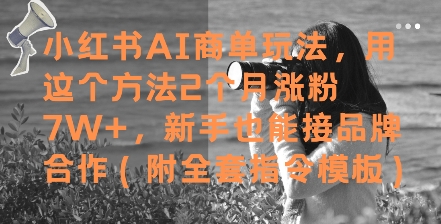 小红书AI商单玩法，用这个方法2个月涨粉7W+，新手也能接品牌合作(附全套指令模板)-鑫梵淘