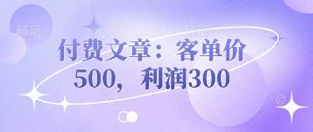 付费文章：客单价500，利润300-鑫梵淘