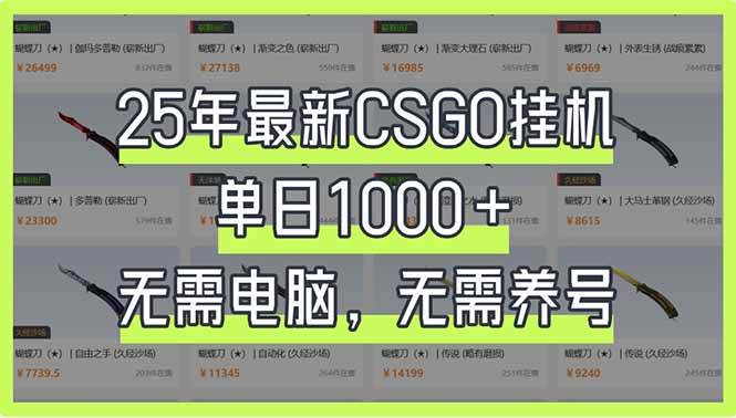 （14178期）25年最新CSGO挂机系统，单日1000+，无需电脑，无需养号，0基础可上手-鑫梵淘