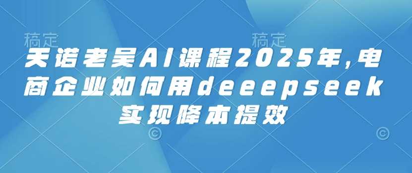 天诺老吴AI课程2025年，电商企业如何用deeepseek实现降本提效-鑫梵淘