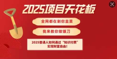 2025项目天花板普通人如何通过知识付费，实现财F自由【揭秘】-鑫梵淘