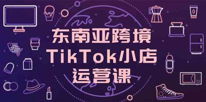 东南亚跨境TikTok小店运营课，掌握店铺设置与流量转化核心技巧-鑫梵淘