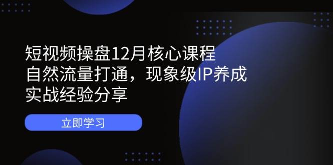（14447期）短视频操盘12月核心课程：自然流量打通，现象级IP养成，实战经验分享-鑫梵淘