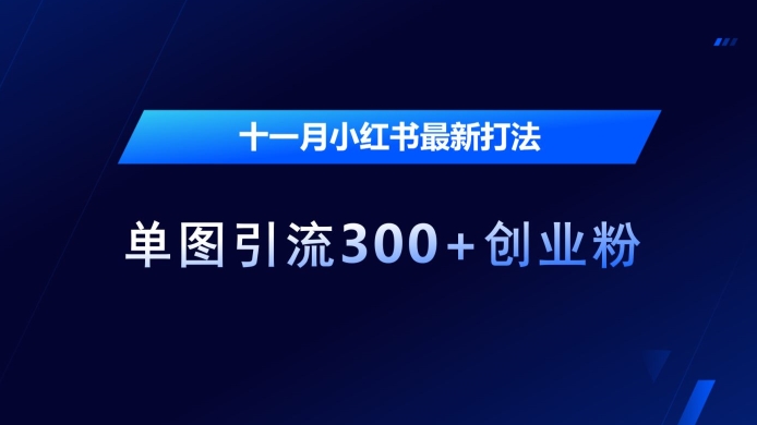 十一月小红书最新打法,单图引流300+创业粉【揭秘】-鑫梵淘