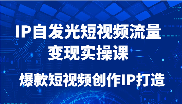 IP自发光短视频流量变现实操课，爆款短视频创作IP打造-鑫梵淘