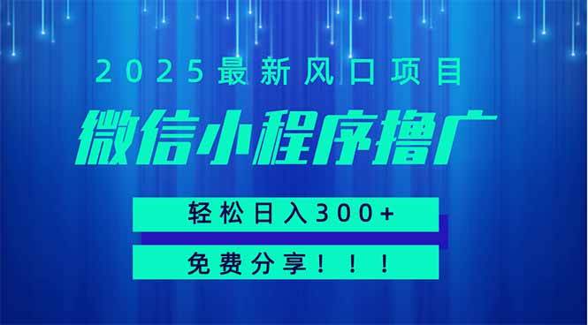 （14375期）微信小程序撸广，最新风口项目，日入300+ 免费分享 可批量操作 小白可…-鑫梵淘