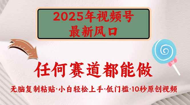（14453期）2025年视频号新风口，低门槛只需要无脑执行-鑫梵淘