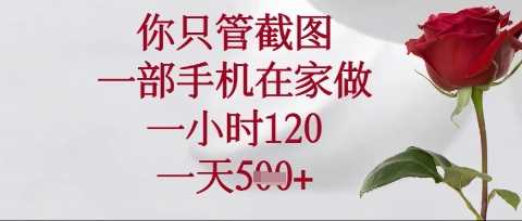 你只管截图，一部手机在家操作，一小时120.一天5张【揭秘】-鑫梵淘