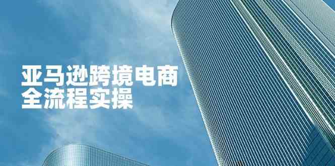 亚马逊跨境电商全流程实操，教你从零开始，掌握店铺运营与广告技巧-鑫梵淘