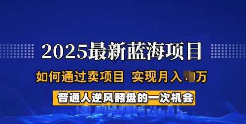 2025蓝海项目，普通人如何通过卖项目，实现月入过W，全过程【揭秘】-鑫梵淘