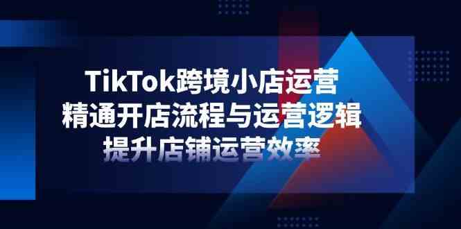 TikTok跨境小店运营，精通开店流程与运营逻辑，提升店铺运营效率-鑫梵淘