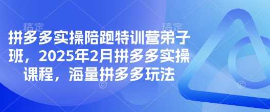 拼多多实操陪跑特训营弟子班，2025年2月拼多多实操课程，海量拼多多玩法-鑫梵淘